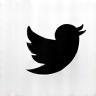 X (Twitter) Icon